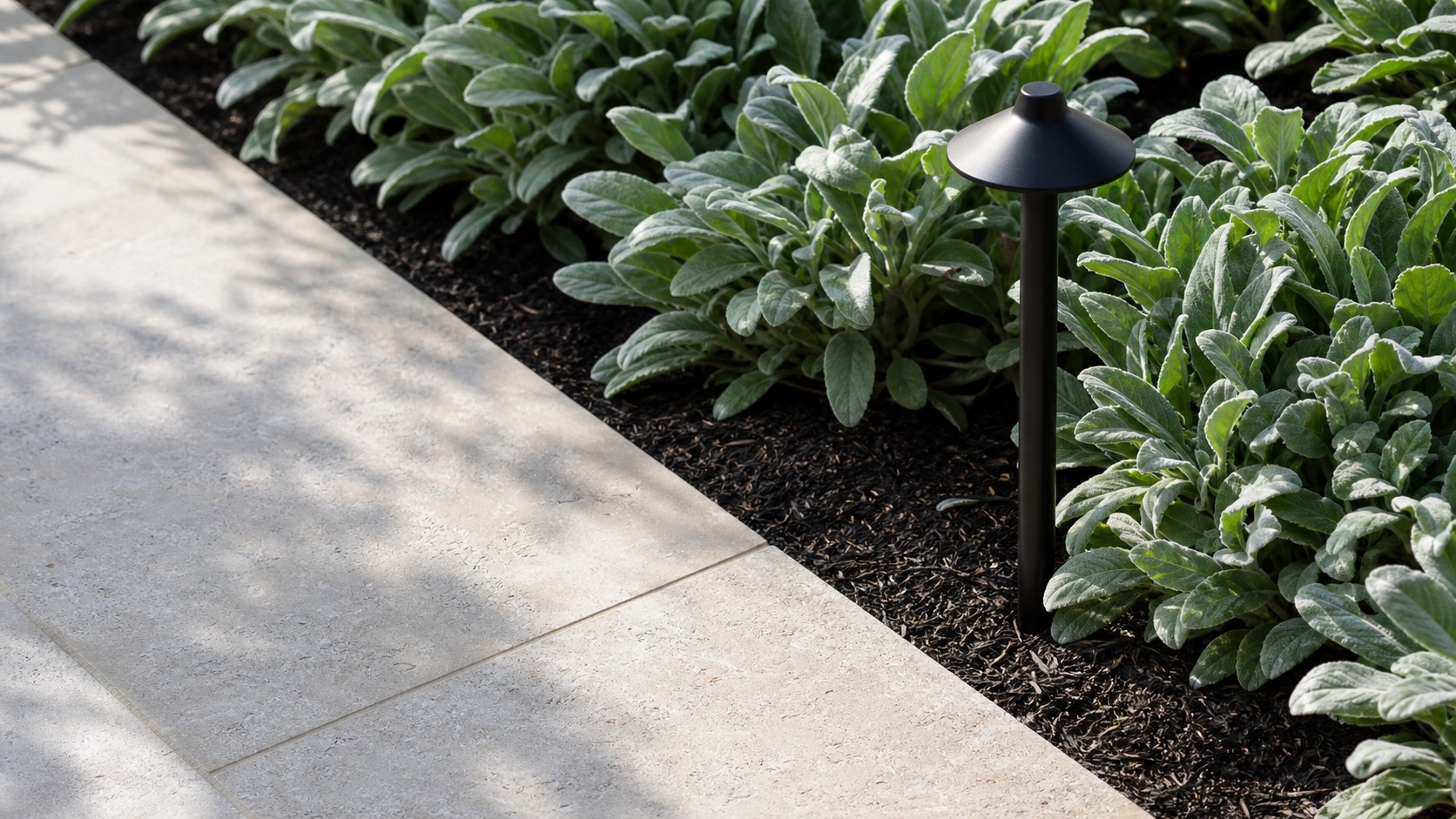 Crisp shell-stone terrace edge beside silver-green foliage and a matte-black path light